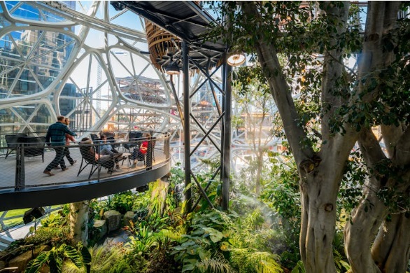 amazon-The-Spheres