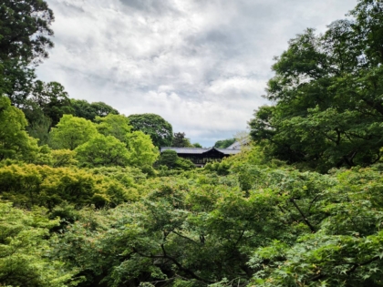 東福寺